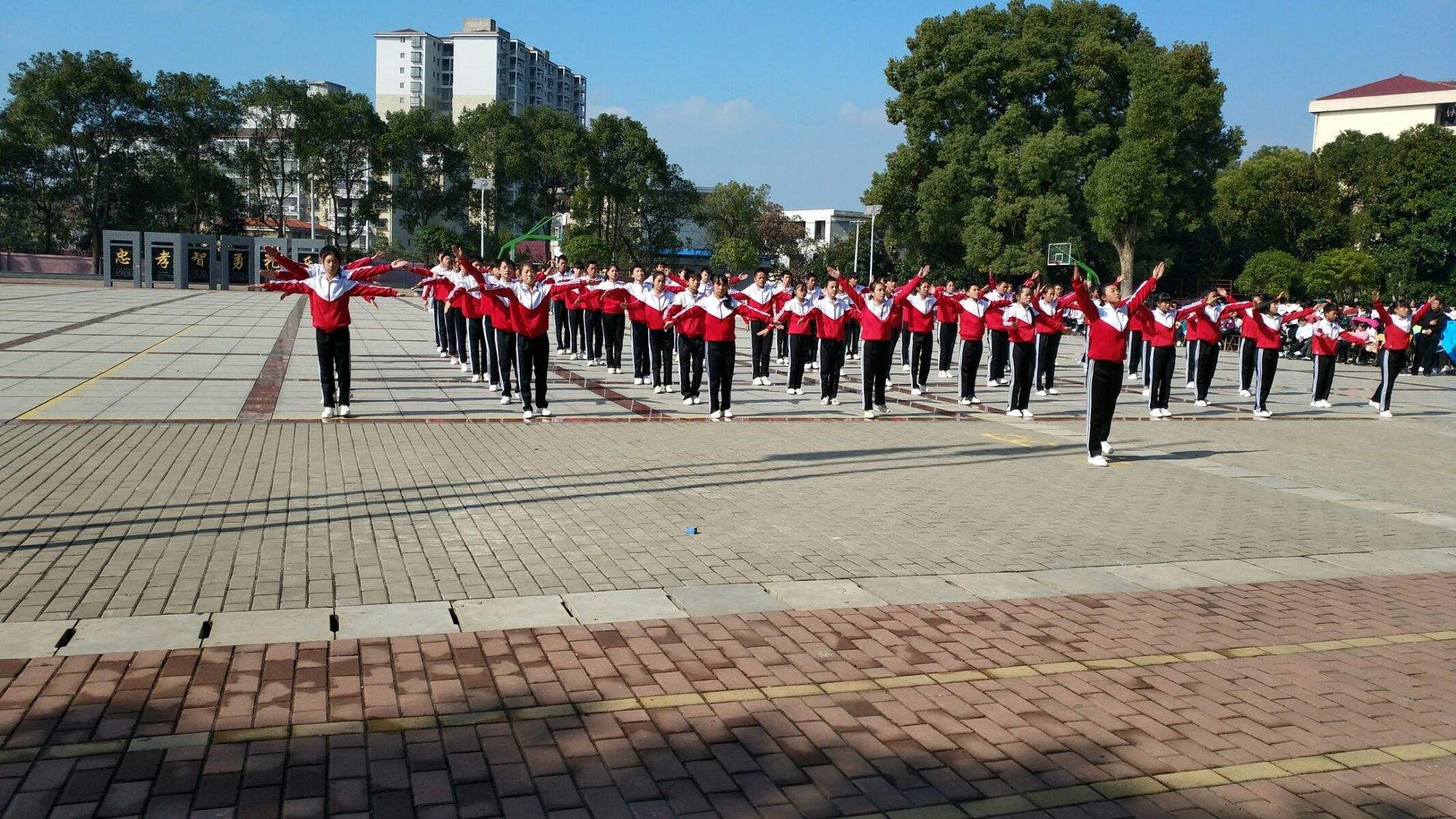 江南体育-体操比赛精彩纷呈，众生歌颂